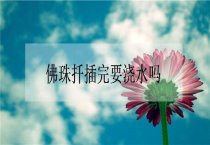 唐菖蒲的几种繁殖方法简介