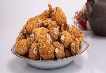 防治香菇鳞皮扇菇方法