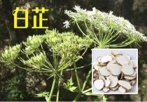 四季兔病防治各有侧重