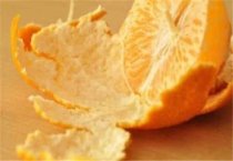 特早熟抗病抗虫棉花新品种――辽棉19号