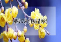 兔饲料发酵制作方法