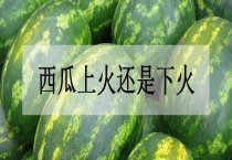 寒冬多产优质花菇三法