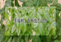有关水蛇饲养方面的要点