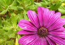 铬对鸡蛋品质的影响