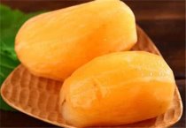 红豆杉繁殖方法