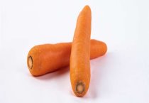 珍禽极品--蓝孔雀