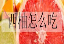 新油13号（油菜）