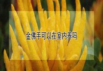 犬弓浆虫病急性发作的诊断与防制