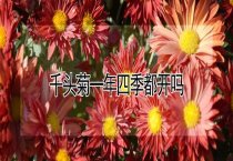 连绵多雨防兔饲料霉菌中毒