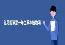 天竺葵斑点病防治