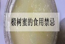 大豆新品种通农13号