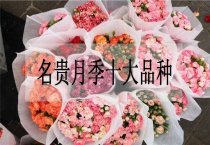 为什么菌丝未发透就零星出菇