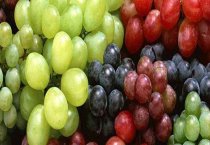 请问葡萄怎么养家庭养法