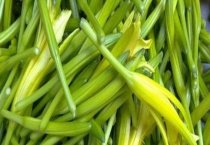 贴梗海棠锈病如何防