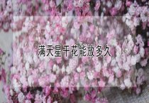 兔宰杀取皮方法