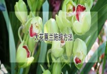 林蛙水毒病防治