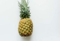 江西瑞金市（村民李桂生的油茶致富经）