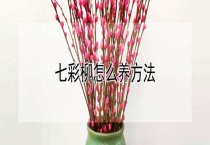 家蚕中毒后的急救措施 家蚕中毒后的急救措施
