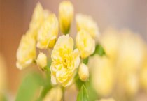 笼子不合理 兔子出问题