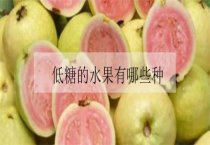 日光温室胡萝卜高效栽培要点（胡萝卜怎么施肥）