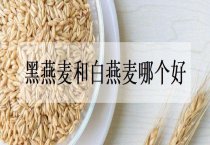油菜冬季施肥的方法