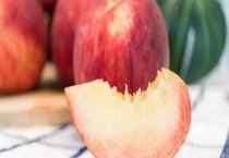 蚯蚓的加工技术