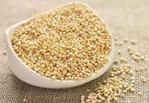 大豆新品种----中豆30