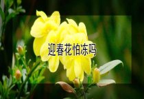 鱼种放养要选放优良鱼种