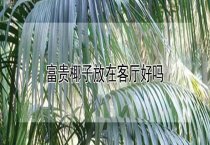 水貂黄曲霉毒素中毒症诊治