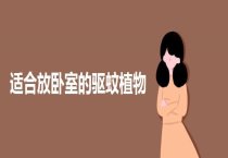 监测污染的能手――唐菖蒲