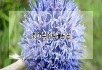重视冬季管理 预防仔猪下痢