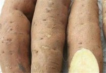 大豆两种主要病害的防治 大豆两种主要病害的防治