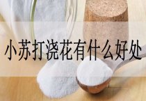 奥美特防治棉花截形叶螨的试验效果