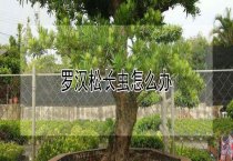 崽兔需要寄养吗？
