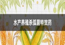 鹌鹑的四种孵化方法