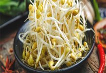 请问黄豆芽怎么发