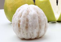 花香菇小棚大袋立体培育技术
