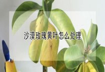 牛蛙越冬三注意