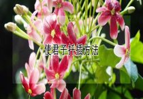 仔兔培育的关键技术
