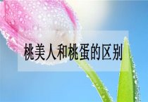 如何防治樱花蛀干性害虫