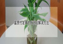 养蝎易发三种常见病的防治