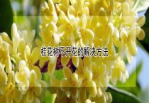 罗氏沼虾亲虾选择多久? 罗氏沼虾亲虾选择多久?