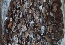 影响鹌鹑产蛋的因素