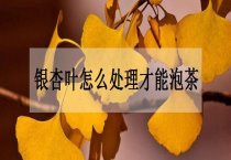 夏季草菇栽培新法