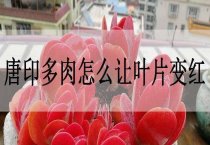 烟叶贮藏期间磷化氢熏蒸杀虫的注意事项