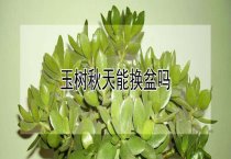 长毛兔秋冬季饲养管理要点