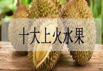 油菜百亩核心区高产栽培技术