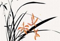 健康狗眼部的护理 健康狗眼部的护理