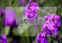 蟾蜍养殖及加工技术