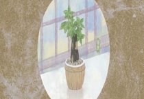 蝎子特征多--养蝎有要领